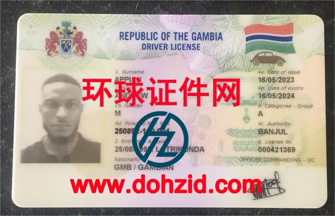 冈比亚驾驶证 冈比亚驾驶证