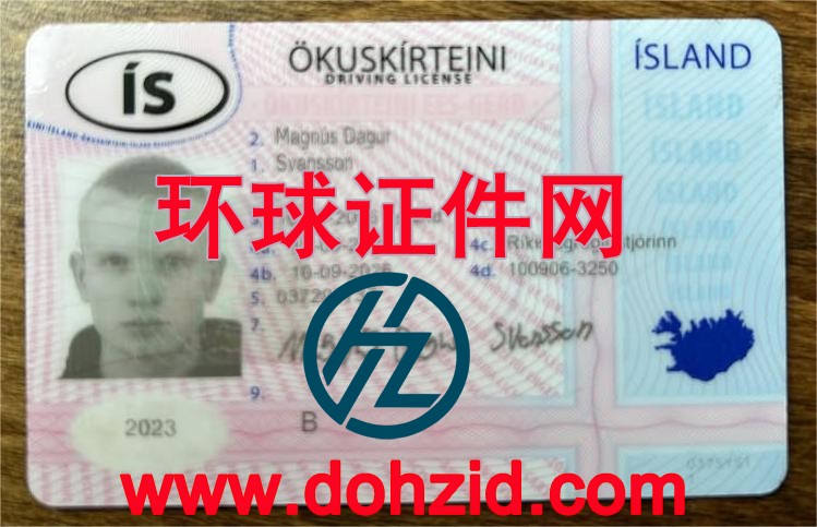 冰岛驾驶证 冰岛驾驶证