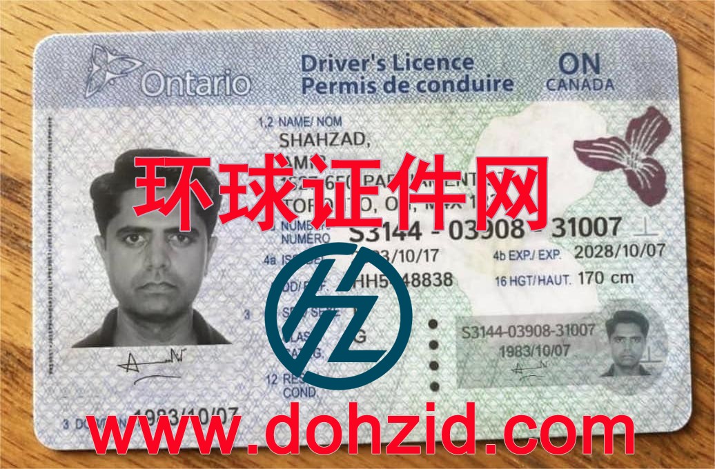 加拿大安大略省驾驶证 加拿大安大略省驾驶证
