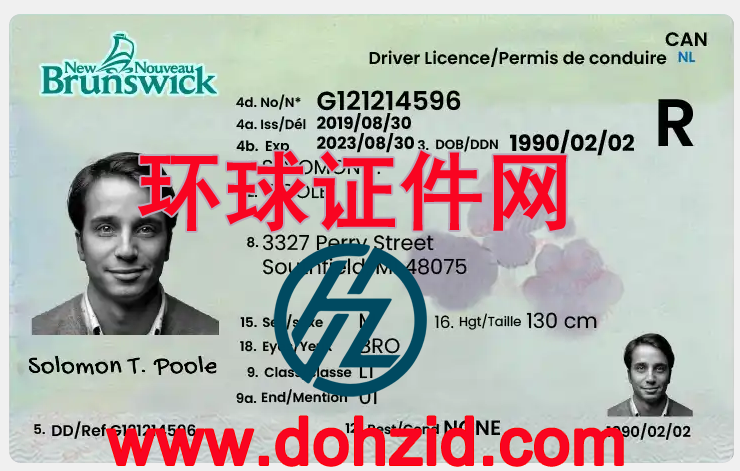 加拿大新不伦瑞克省驾驶证 加拿大新不伦瑞克省驾驶证