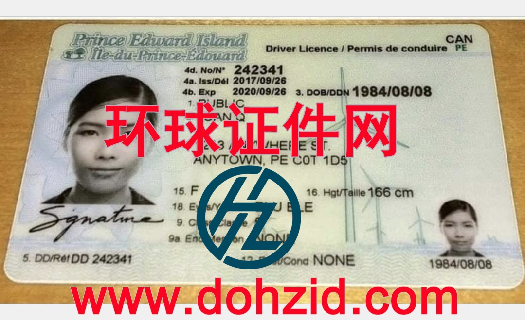 加拿大爱德华王子岛省驾驶证