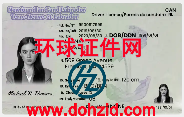 加拿大纽芬兰与拉布拉多省驾驶证 加拿大纽芬兰与拉布拉多省驾驶证
