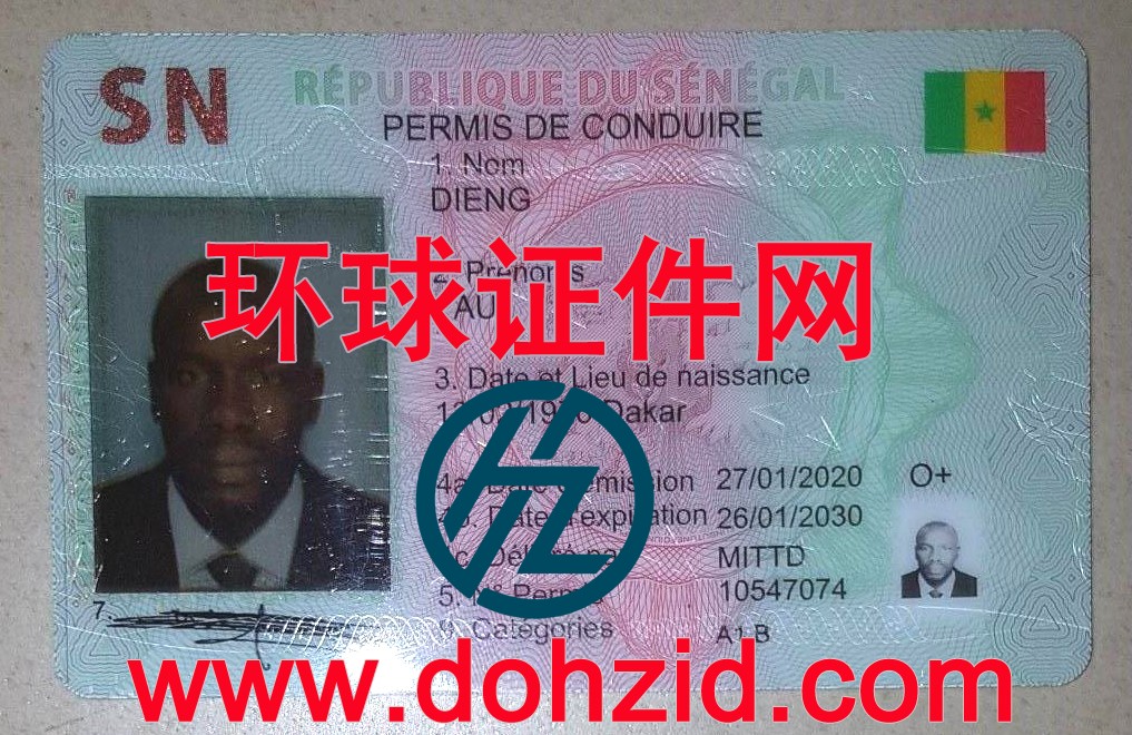 塞内加尔驾驶证 塞内加尔驾驶证