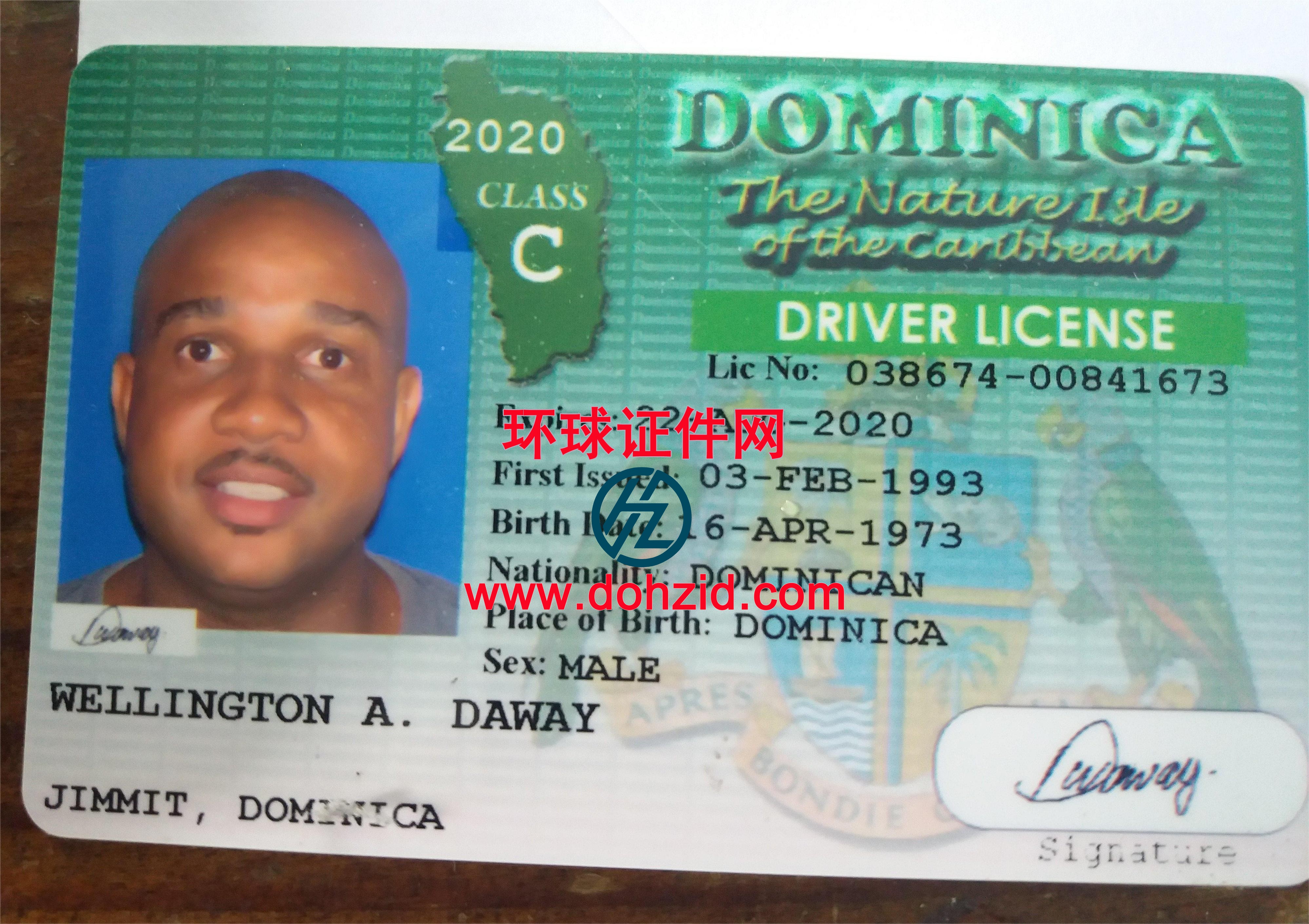 多米尼克驾驶证 多米尼克驾驶证