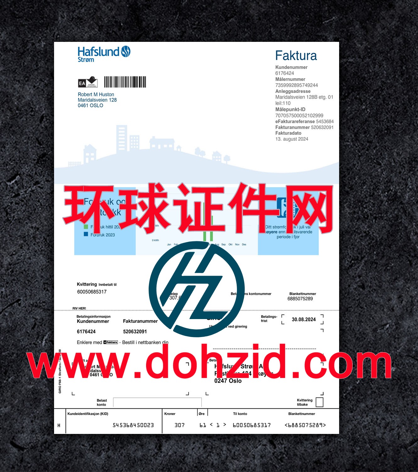 挪威能源账单 挪威能源账单