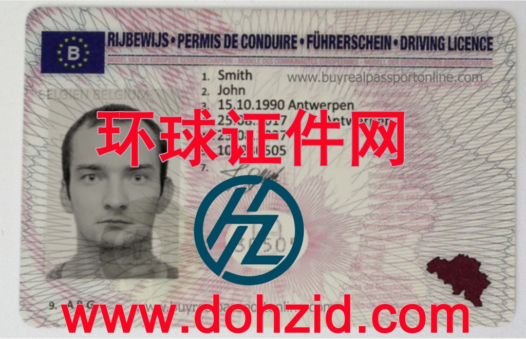 比利时驾驶证 比利时驾驶证