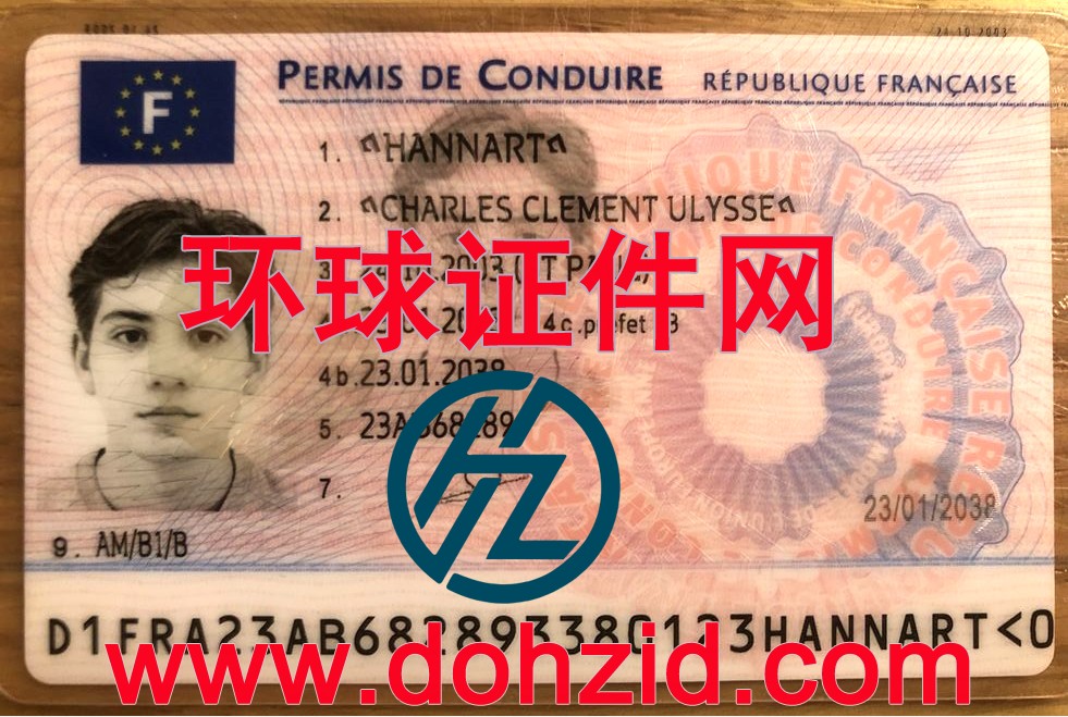 法国驾驶证