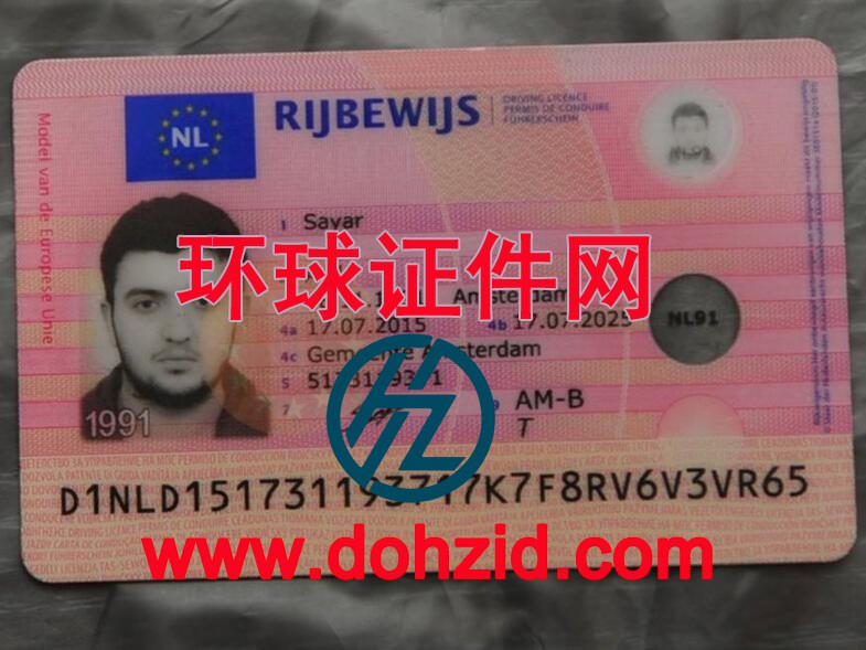 荷兰驾驶证